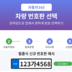 차량 번호판 선택